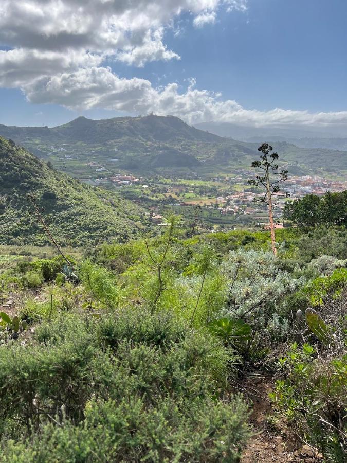 Apartamento En Bajamar -Tenerife Eksteriør bilde